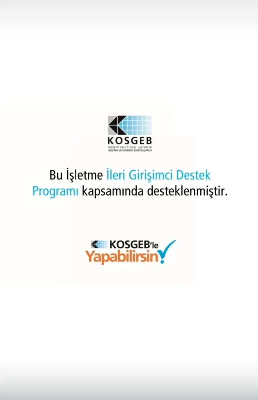 İleri Girişimcilik ve Teknolojik İnovasyon
